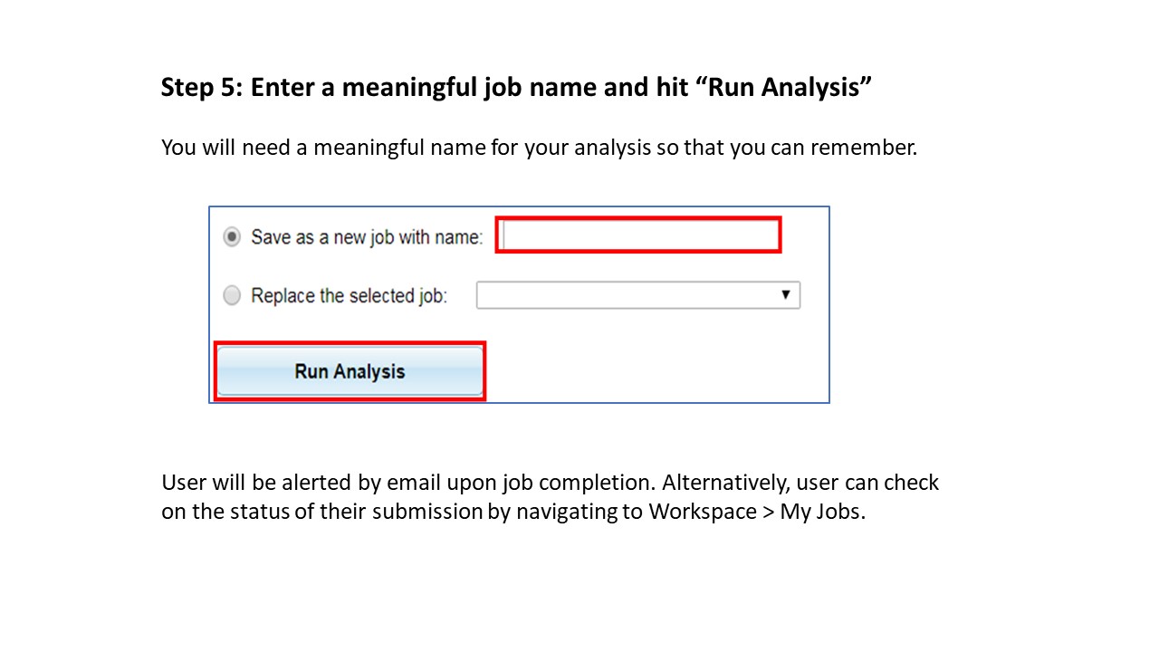 Run Analysis